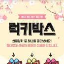 럭키다방 이미지