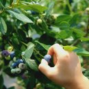 순겸농장 이미지