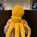 먹물 | 창원 상남동 먹물집 문어 샤브 회식 맛집 방문 후기