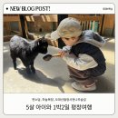 전나무목장 | 5살 아이와 1박2일 평창여행 | 연소담, 하늘목장, 오대산월정사전나무숲길