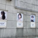 세느린 네이버블로그