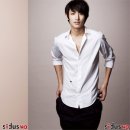 뿌리깊은나무 이미지