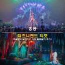 불꽃식당 | 홍콩 디즈니랜드 티켓 티어 가격 조기입장 프리미어 엑세스 겨울왕국 놀이기구 식당 불꽃놀이 후기
