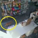 두루동물병원 이미지