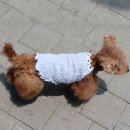 1149 쇼핑하우