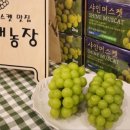 영재농장 이미지