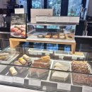 중문에코 이미지