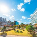 서강대학교 공공정책대학원 이미지