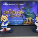 도로시 티스토리
