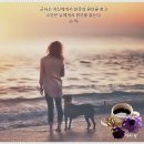 그리움 이미지