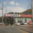 락천수타 이미지
