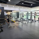 비나이더 주엽점 | 주엽역 헬스장 비나이더피트니스 다짐어플로 저렴하게!