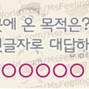 부산갈메기 이미지