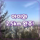 심심토끼 | 안산 노적봉 둘레길 후기:아이와 걷기 좋은 2.5km 산책코스 (토끼 출몰 )
