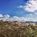 부산현대미술관 이미지