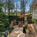 주약할인마트 | 탄자니아 모시(Moshi) 한달살기: 숲 속 대저택, 에어비앤비 숙소 후기