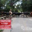 서들농장 이미지