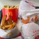 신안할인마트 | 🏕️신안 천사섬 캠핑&amp;글램핑장 1박 2일 글램핑 기록