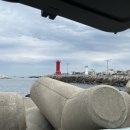 노랑통닭 정관점 이미지