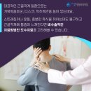 송파바른정형외과의원 네이버블로그