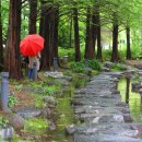 강변자전거길(남) 이미지