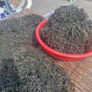 파프리카 조형물 이미지