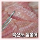 찰짐 | 삭힌홍어 때깔 죽여줘요 청춘수산 흑산도 참홍어 찰짐이 예술