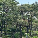 새봄뷰티 - 금천구 | [용산 왁싱] 깔끔하고 안 아픈 하드왁싱 맛집, 서울역 왁싱 '새봄'에서 첫 왁싱 후기!👊🏼✨✨
