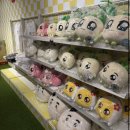 크리에이터 완전정복 | 🍇💜 [구미마을 젤리상점] 쿵야레스토랑즈 팝업스토어 완전 정복 후기 💜🍇