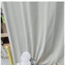 키티앤퍼피 이미지