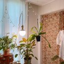 (주)스타팜텍 | led식물등:식물등 써보니 이렇게 달라졌어요!