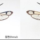 전남유리