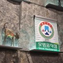 백년가 교동짬뽕 본점 이미지