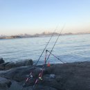 영등 발전소 | 190204 사천(삼천포) 감성돔 원투낚시 출조후기! (꽝)