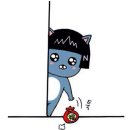 용이