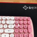 피그넷 이미지