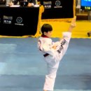 한국체대 비호태권도 이미지