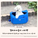 컴피라비올리 시티백 시티블루L 강아지 이동가방 가볍게 들기 좋은 애견가방