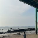감뿌리손칼국수