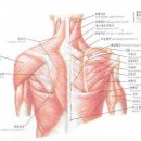 염기룡한의원 이미지