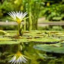 지구환경자원 이미지