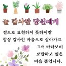 천보산농장 이미지