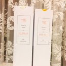 레몬향데이지 이미지