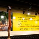 대통풍천장어 이미지