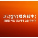 소탐대실 교각살우~~ 펀글 이미지