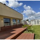 똥강아지 애견 이미지