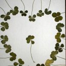 네잎클로버민박 이미지