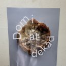 도미하우스 | 경주 황리단길 금리단길 맛집 추천 / 도미 메뉴추천, 웨이팅 후기