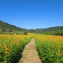 (주)1급 디에이모터스 | 하늘색도 구름도 예쁜 날, 연천 라이딩 제인폭포.점심은 어락 화덕생선구이