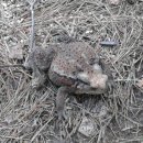 헌복농장 이미지